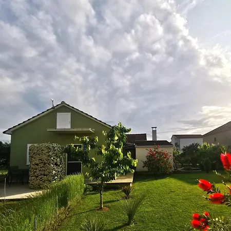 Daire Krsticevic Metković